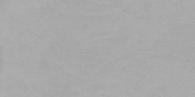 GRS 09-09 Керамогранит Sigiriya Clair лофт светло-серый (серая масса) 120x60